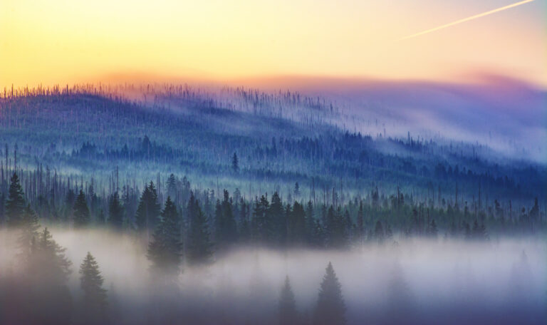 NP Šumava jako světově uznávaný národní park?