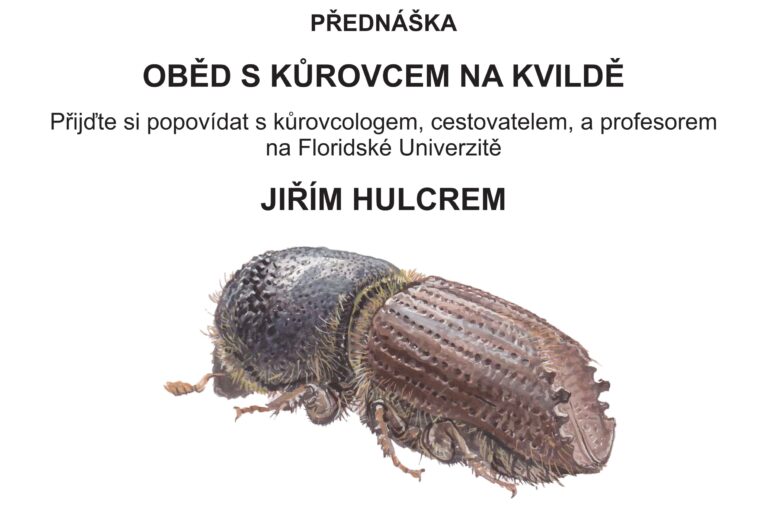 Oběd s kůrovcem na Kvildě