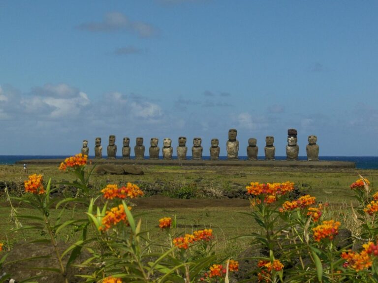 Rozhovor: Inženýr, který rozhýbal sochy Moai
