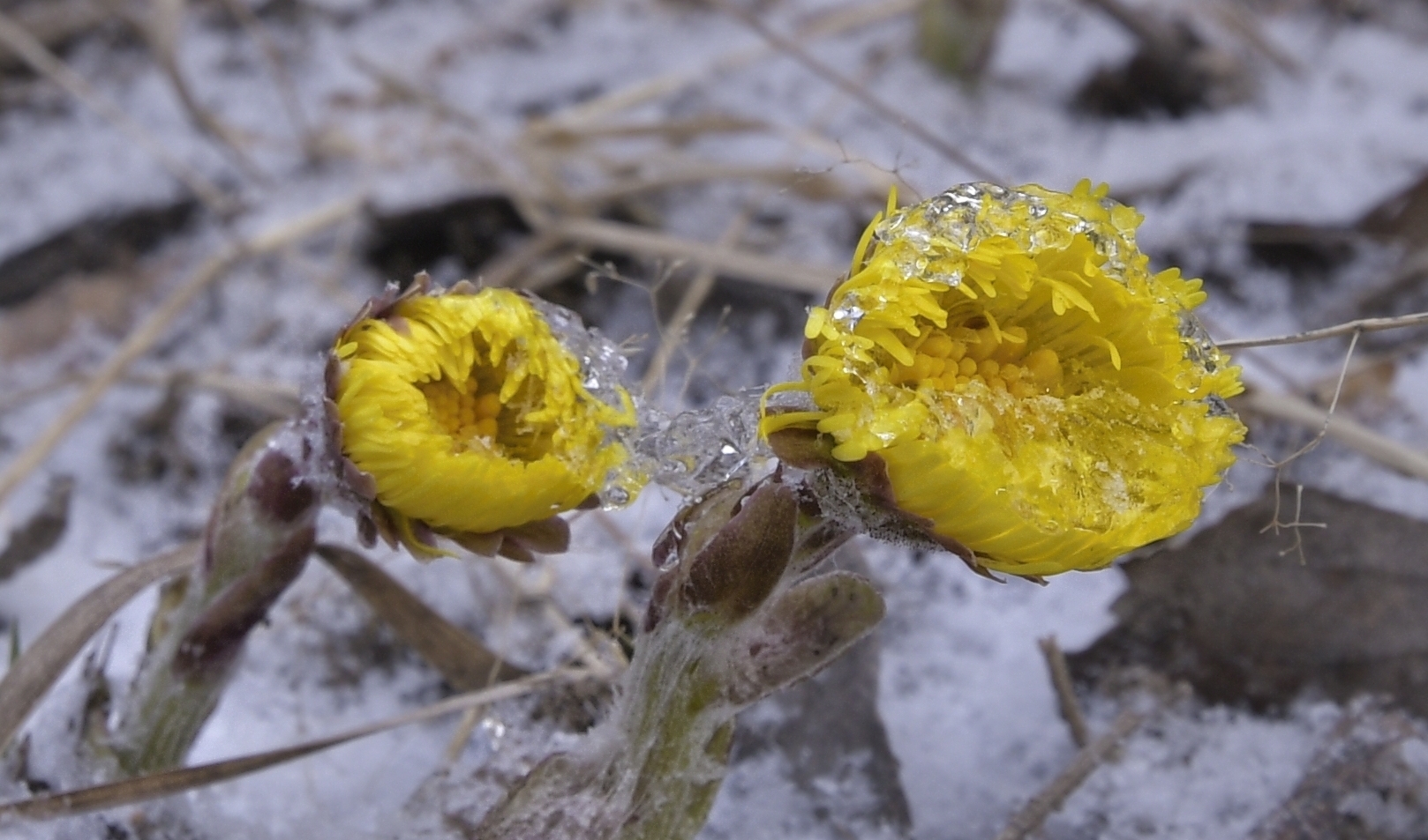 Vimperk – Fotokronika Jana Tláskala – březen 2026