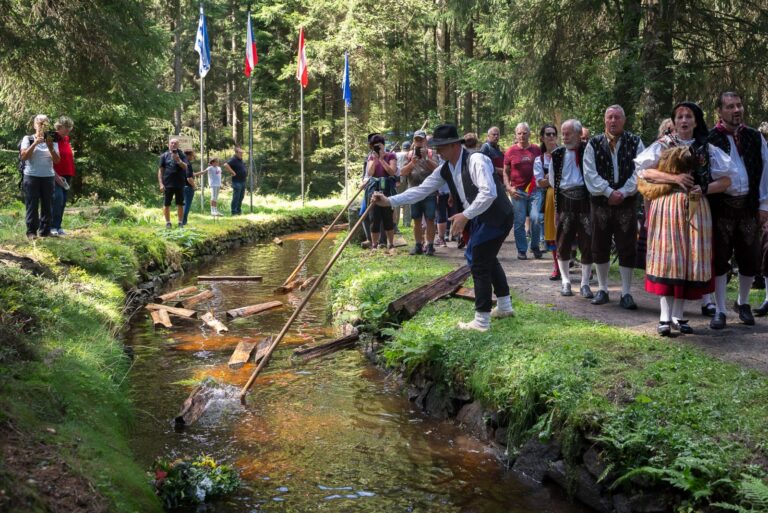 Schwarzenberský plavební kanál