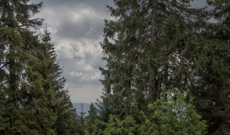 Vimperk – Fotokronika Jana Tláskala – květen 2026