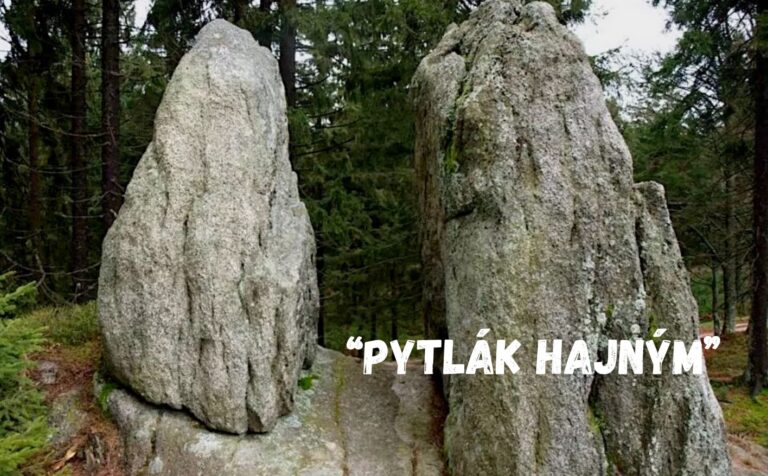 Pondělní glosa: Pytlák hajným