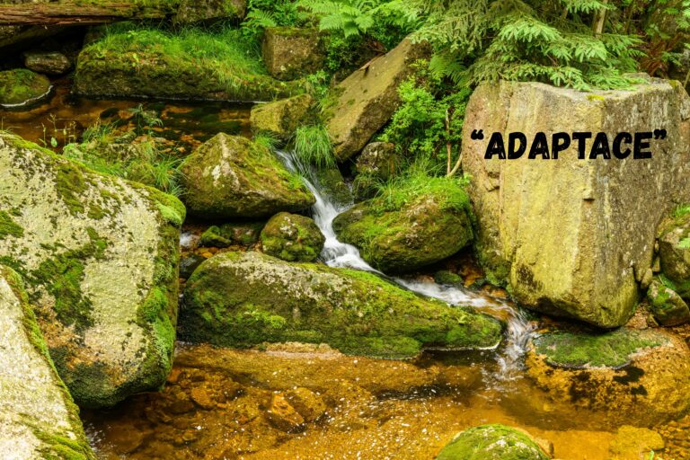 Pondělní glosa: Adaptace
