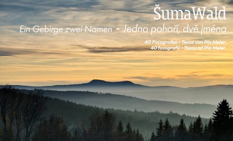 ŠumaWald v Železné Rudě