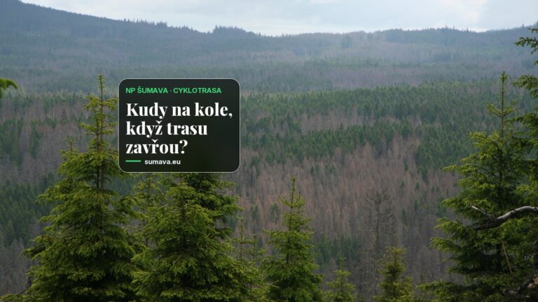 Národní park Šumava na dva dny uzavře cyklotrasu mezi Mechovem a Velkým Borem