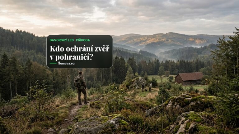 Bavorský les chystá workshop proti pytláctví, řeč bude i o spolupráci s Českem