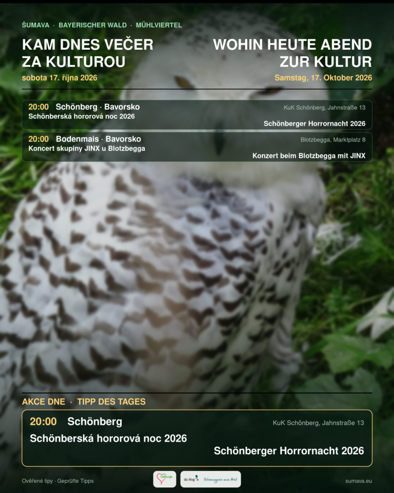 Kam dnes večer za kulturou · sobota 17. října 2026