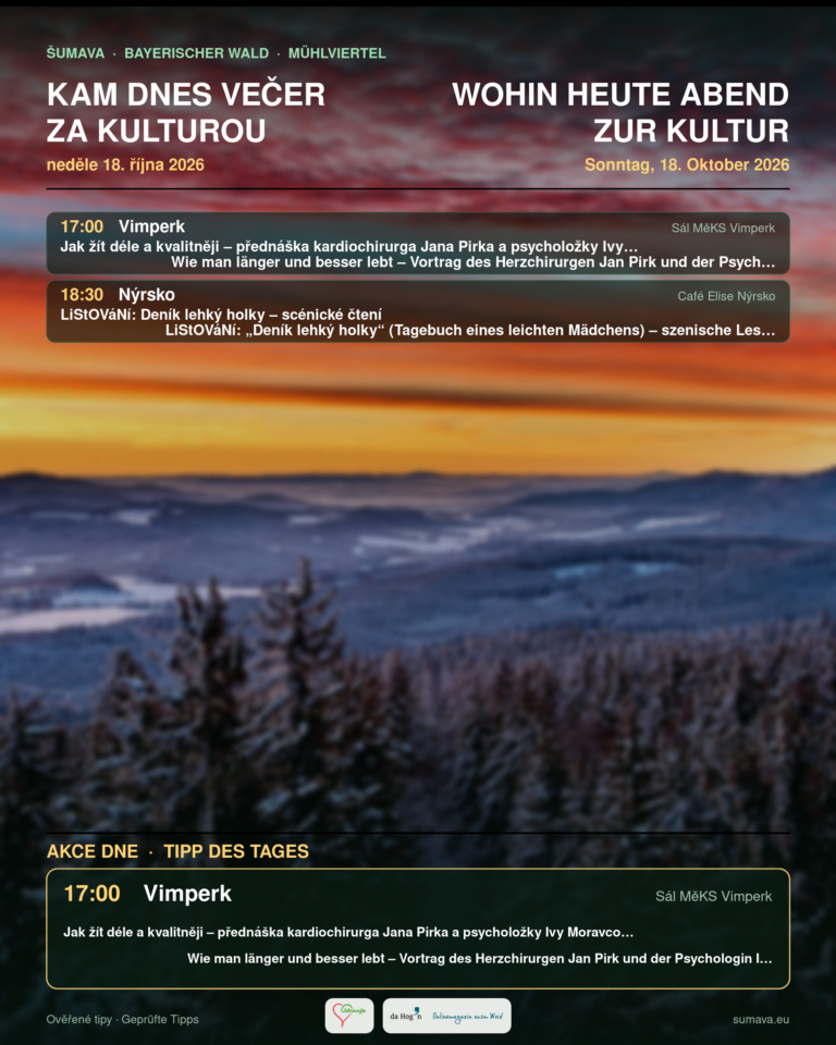 Plakát Kam dnes večer za kulturou