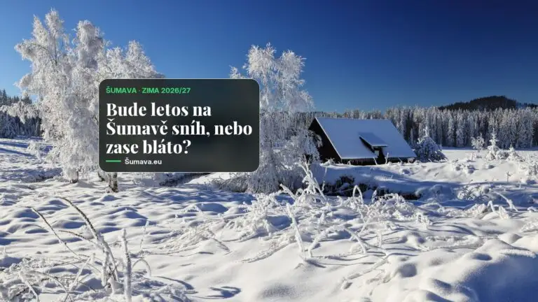 Jaká bude zima na Šumavě? 26 zim v číslech a výhled ze sousedního Německa: mírná, proměnlivá, se sněhem na horách