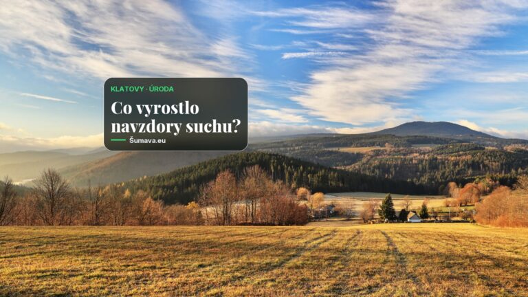 V Klatovech začala zahrádkářská výstava Zahrada Pošumaví