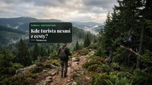 Ústavní soud odmítl stížnost muže na zákaz vstupu kvůli tetřevovi na Šumavě