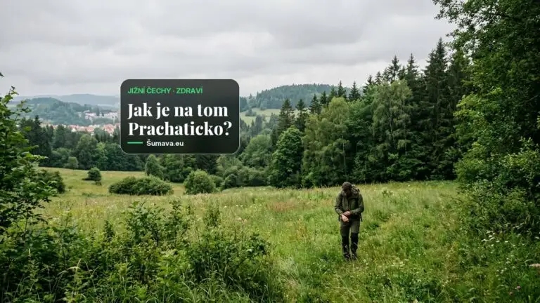 Na Českokrumlovsku hygienici letos potvrdili 116 případů boreliózy