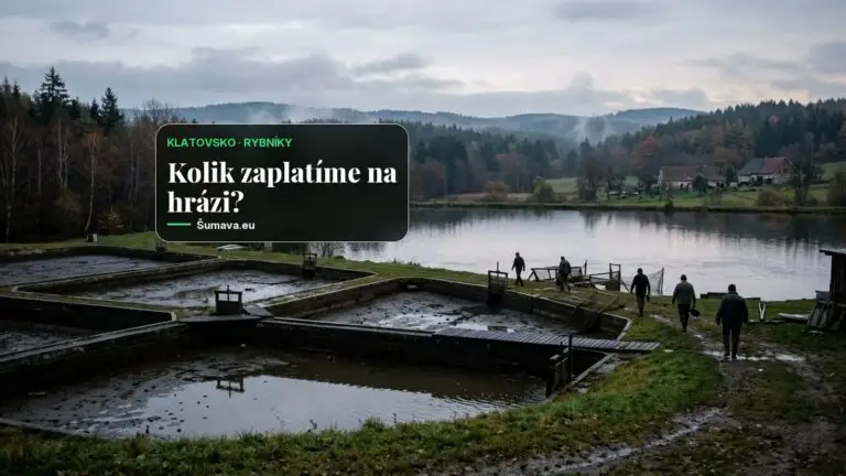 V sádkách Klatovského rybářství zatím není ani jeden vánoční kapr