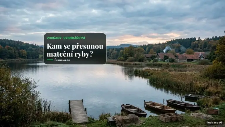Slavnostní výlov Velké Podvinice ve Vodňanech se nekoná